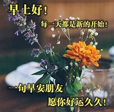 早安照片图片大全